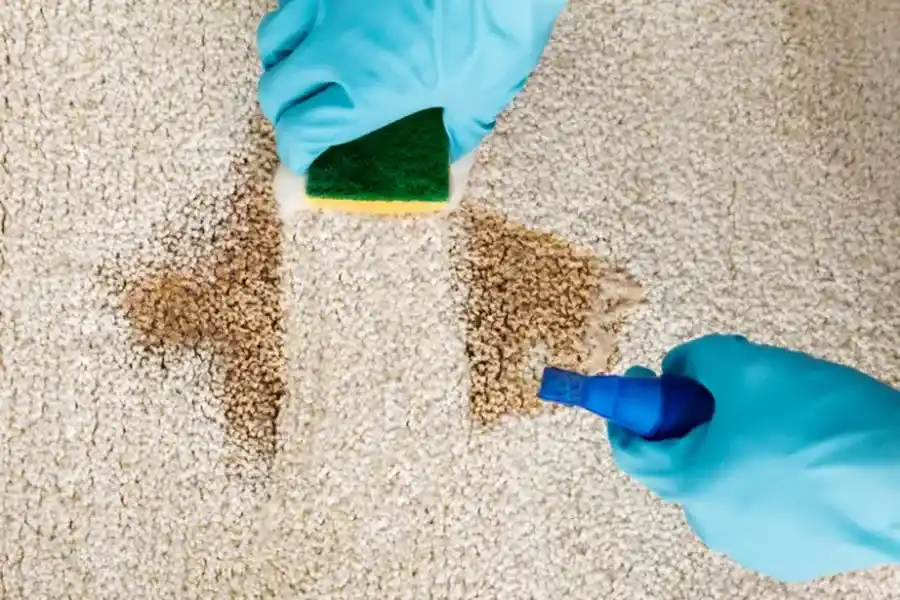 Choosing The Right Carpet Cleaning Service For Your Needs Pleasant Prairie, WI