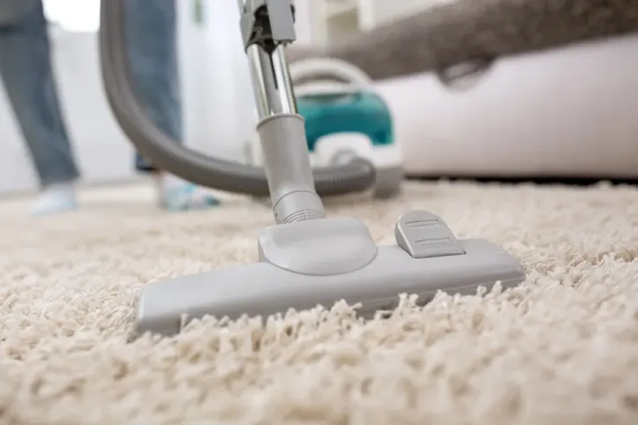 Professional Carpet Cleaning Services Pleasant Prairie, WI